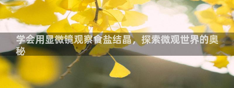 威九国际网站怎么样知乎