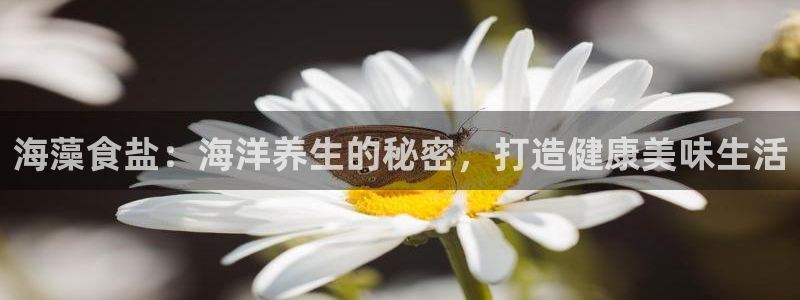 威九国际电影2022年9月月