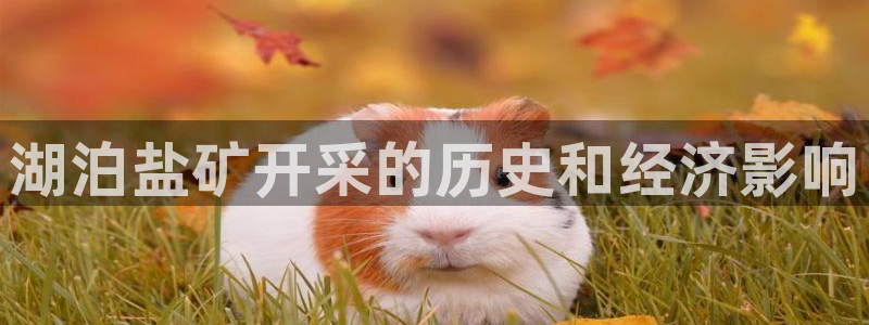 威九国际官网在线进入网站查询