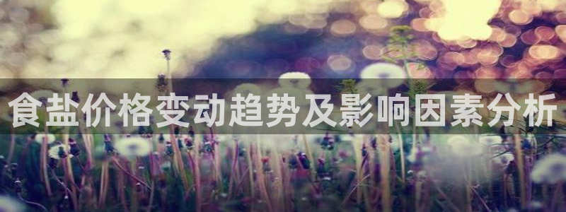 威九国际客服电话是多少