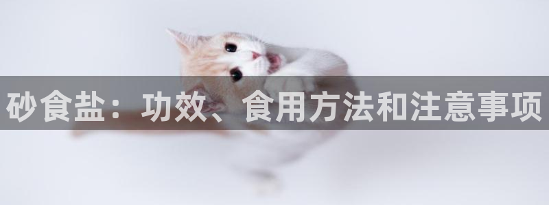 威九国际v96bet下载