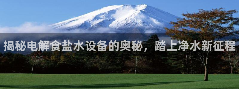 威九国际官网在线进入网站查询网址