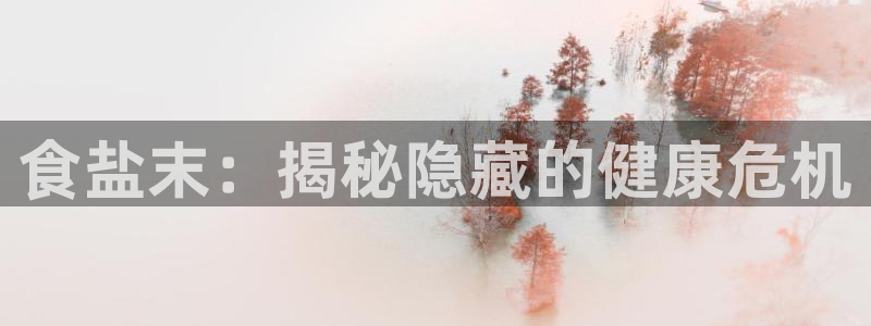 威九国际app入口官网