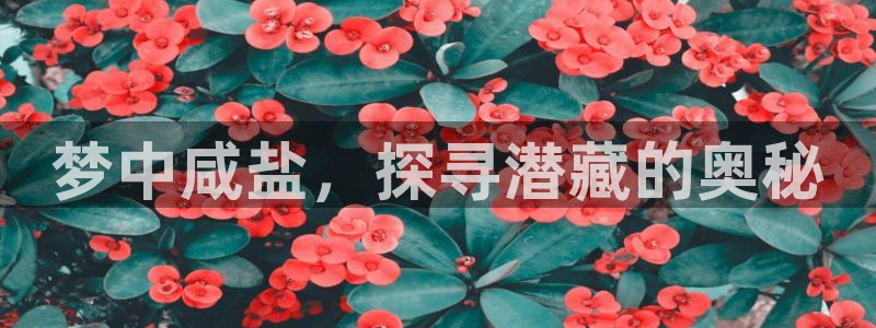 威九国际集团66m一6