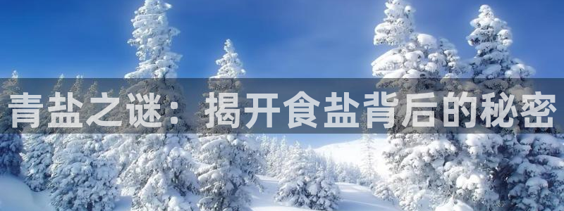 威九国际78mb下载
