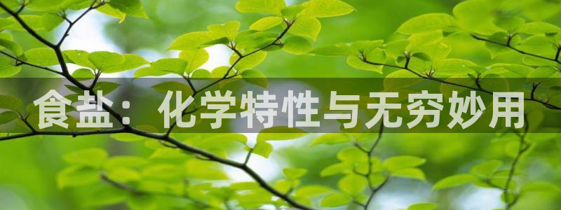 威九国际v96bet官网版