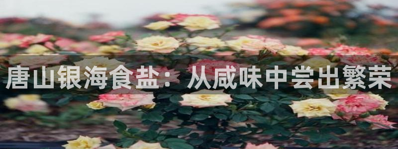 威九国际网站怎么样知乎