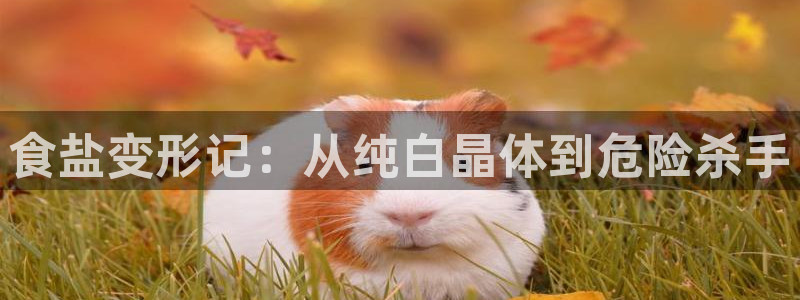 威九国际安全吗