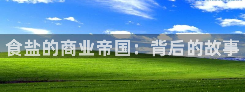 威九国际网站入口地址