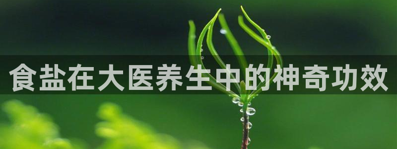威九国际官网登录入口网站