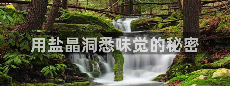 威九国际精选酒店电话