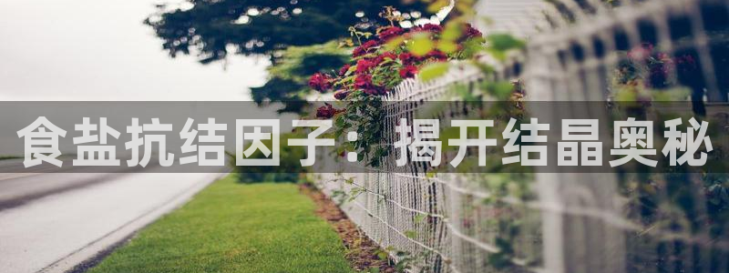 威九国际66