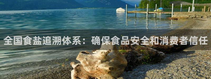 威九国际空降服务怎么样