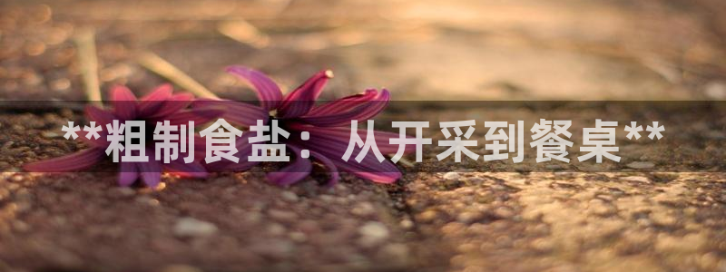 威九国际v96 bet会黑吗