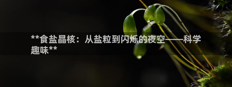 威九国际网页看视频弹窗的广告拦截插件