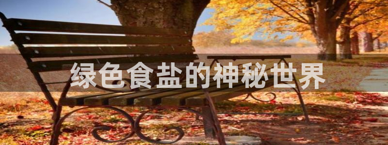 威九国际78m九妹