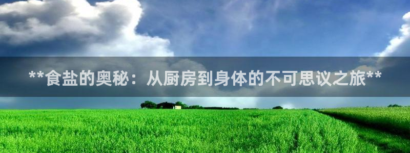 威九国际地址