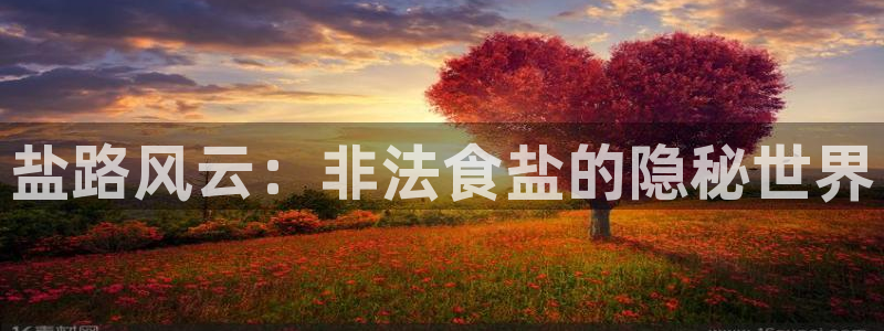 威九国际