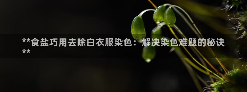 威九国际能提现吗现在