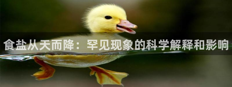66m威九国际精选