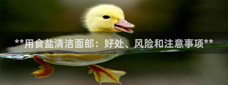 威九国际旗下艺人