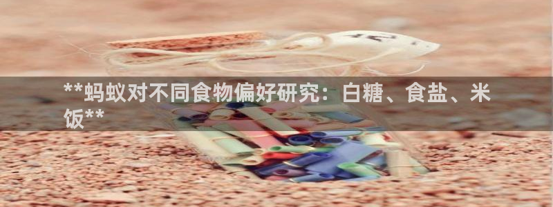 威九国际男主