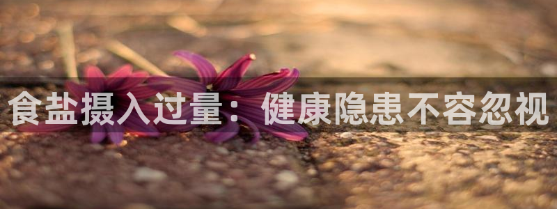 威九国际网站入口官网免费下载