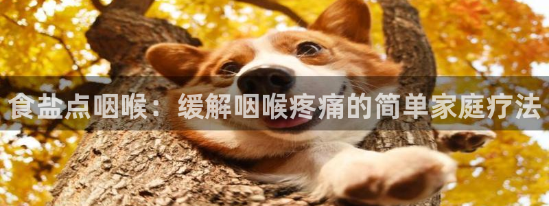 威九国际网站登录