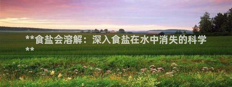 威九国际精