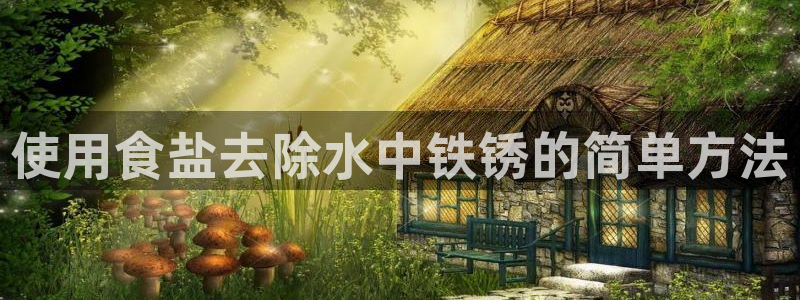 威九国际网站客服电话多少