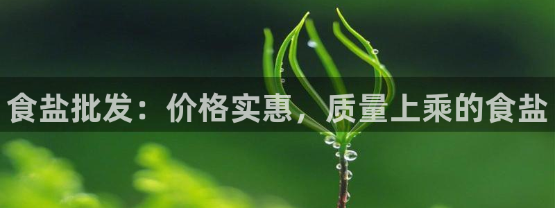 威九国际网站入囗