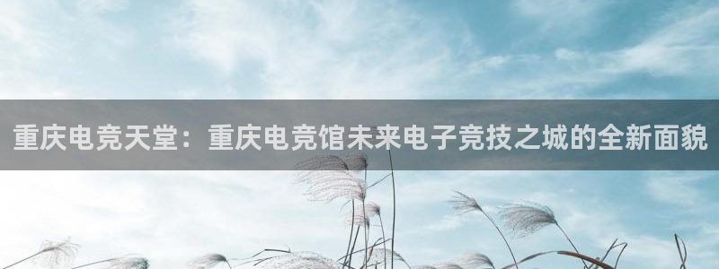 威客电竞酒店：重庆电竞天堂：重庆电竞馆未来电子竞技之城的全新面貌