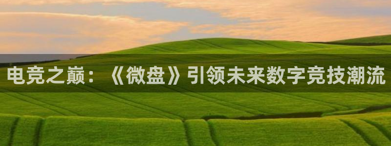 威客电竞官网登录入口：电竞之巅：《微盘》引领未来数字竞技潮流