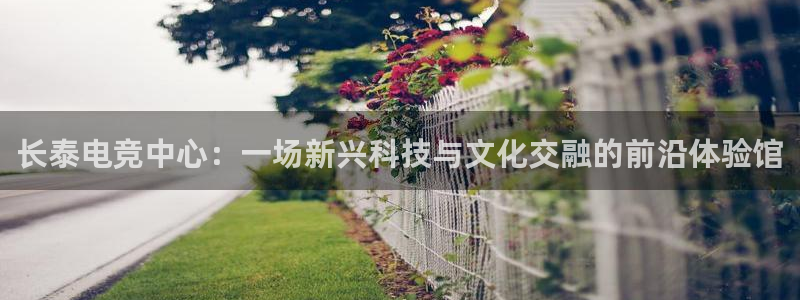 威客电竞官网登录入口：长泰电竞中心：一场新兴科技与文化交融的前沿体验馆
