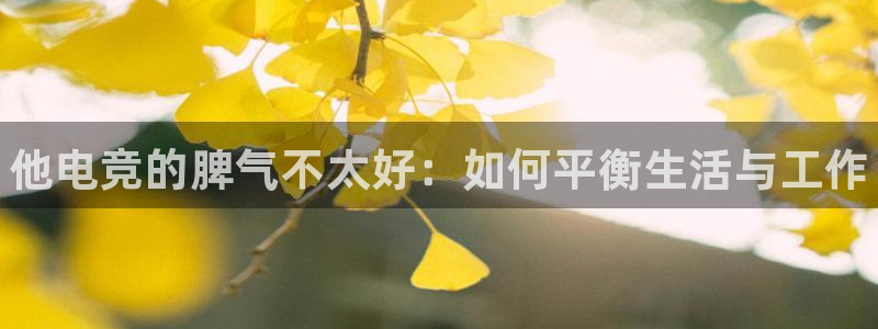 威客电竞网页版入口：他电竞的脾气不太好：如何平衡生活与工作