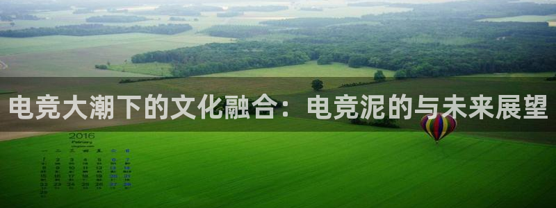 威客电竞客服：电竞大潮下的文化融合：电竞泥的与未来展望