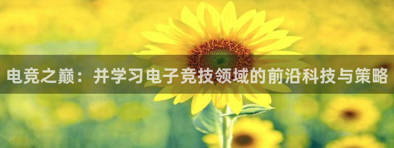 威客电竞客服：电竞之巅：并学习电子竞技领域的前沿科技与策略