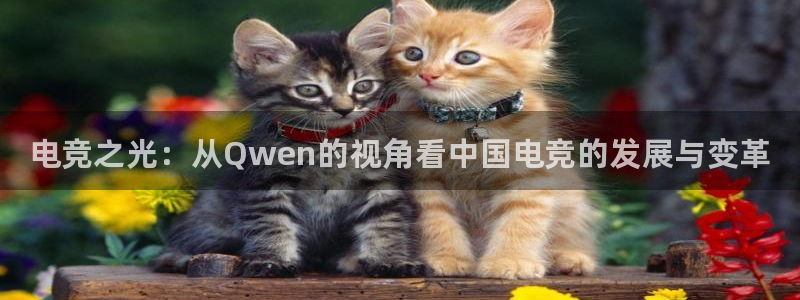 威客电竞官网登录入口：电竞之光：从Qwen的视角看中国电竞的发展与变革