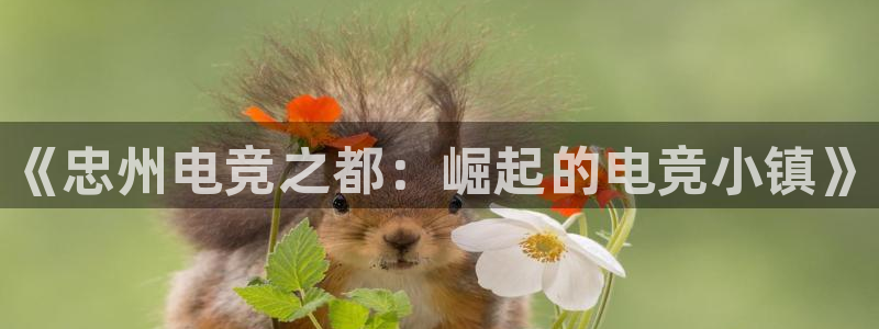威客电竞客服：《忠州电竞之都：崛起的电竞小镇》