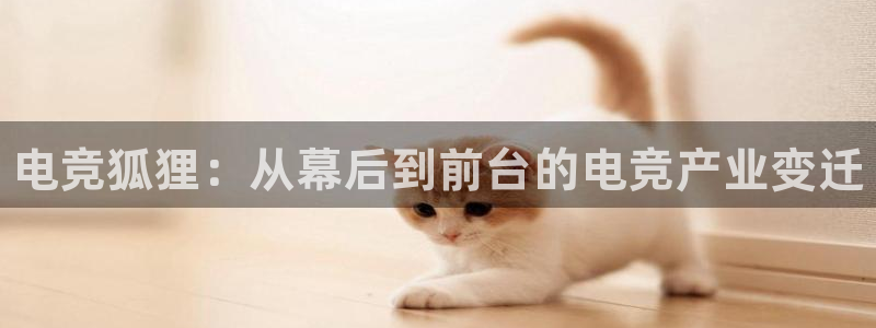 威客电竞客：电竞狐狸：从幕后到前台的电竞产业变迁