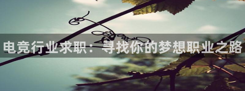 vkgame 威客电竞：电竞行业求职：寻找你的梦想职业之路