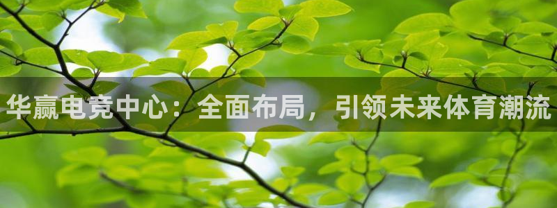 威客电竞VKGAME：华赢电竞中心：全面布局，引领未来体育潮流