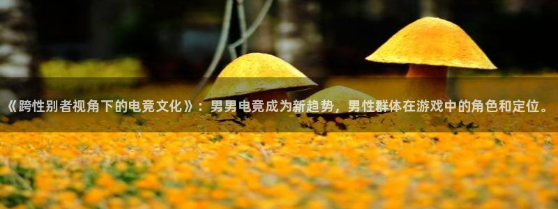 vkgame 威客电竞：《跨性别者视角下的电竞文化》：男男电竞成为新趋势，男性群体在游戏中的角色和定位。