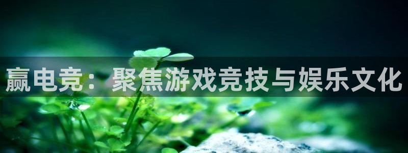 威客电竞：赢电竞：聚焦游戏竞技与娱乐文化
