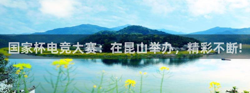 威客电竞集团：国家杯电竞大赛：在昆山举办，精彩不断!