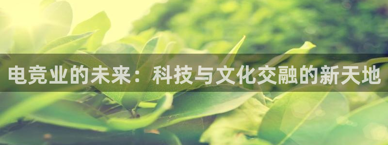 威客电竞·(中国)VKGAMING：电竞业的未来：科技与文化交融的新天地