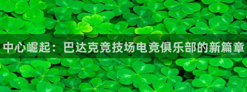 威客电竞·(中国)VKGAMING：中心崛起：巴达克竞技场电竞俱乐部的新篇章