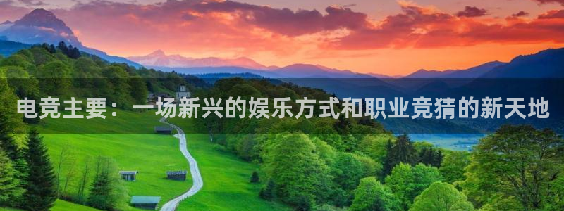 vkgame威客电竞官网：电竞主要：一场新兴的娱乐方式和职业竞猜的新天地