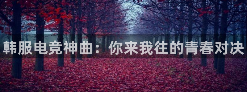 vkgame 威客电竞：韩服电竞神曲：你来我往的青春对决