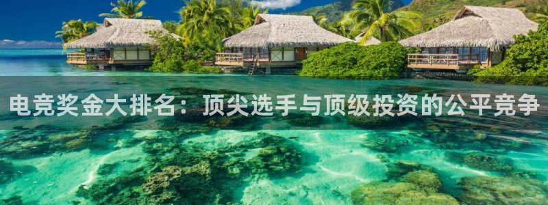 威客电竞vkgame官网：电竞奖金大排名：顶尖选手与顶级投资的公平竞争